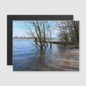 場所失った、川の土手の木 (正面/裏面)