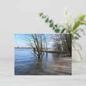 場所失った、川の土手の木 カード (スタンド正面)