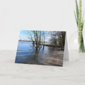場所失った、川の土手の木 カード (正面)