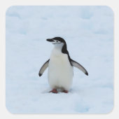 場所 スクエアシール (正面)