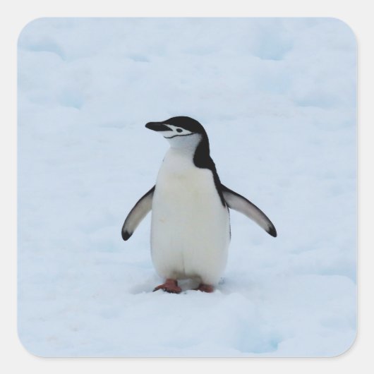 場所 スクエアシール (正面)