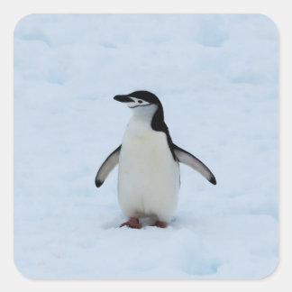 場所 スクエアシール