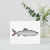 場田 ポストカード (スタンド正面)