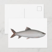 場田 ポストカード (正面/裏面)