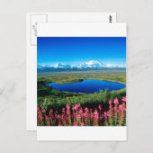 場面ツンドラデナリDenaliアラスカ ポストカード (正面/裏面)