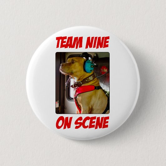場面ボタンのチーム9 缶バッジ (正面)