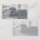 塀から見ている黒い牛 名刺 (正面/裏面)