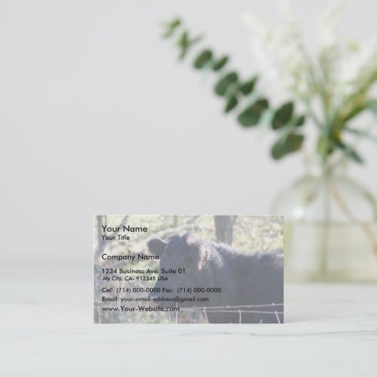 塀から見ている黒い牛 名刺 (スタンド正面)