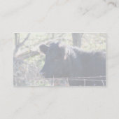 塀から見ている黒い牛 名刺 (裏面)