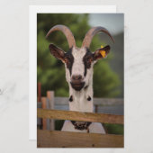 塀に立ち向かう角を持つヤギ 便箋 (正面/裏面)
