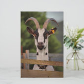 塀に立ち向かう角を持つヤギ 便箋 (スタンド正面)