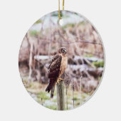 塀の北ハリアーのタカ セラミックオーナメント (左)