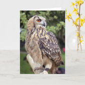 塀の挨拶状の大きいフクロウ カード (黄色い花)