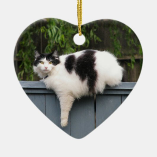 塀の脂肪質猫 セラミックオーナメント (正面)