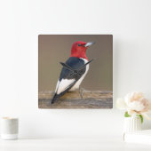 塀の赤毛のキツツキ スクエア壁時計 (ホーム)