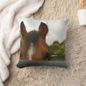 塀の馬頭部上の目 クッション (ブランケット)