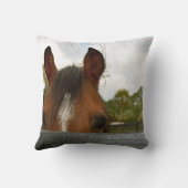 塀の馬頭部上の目 クッション (裏面)