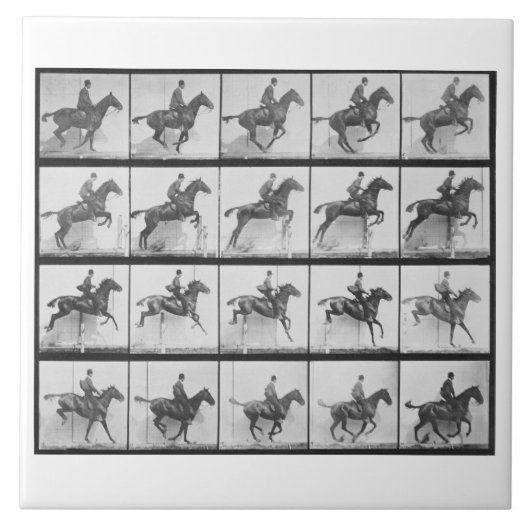 塀を跳んでいる人および馬は「オオハシカッコウからの640をめっきします タイル (正面)