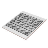 塀を跳んでいる人および馬は「オオハシカッコウからの640をめっきします タイル (側面)