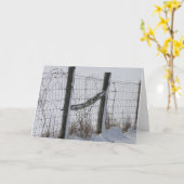 塀及び雪 カード (黄色い花)