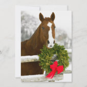 塀越しの馬 招待状 (正面)