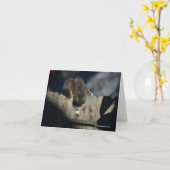 塀(18)の猫 カード (黄色い花)