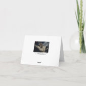 塀(18)の猫 カード (裏面)