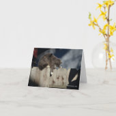 塀(9)の猫 カード (黄色い花)