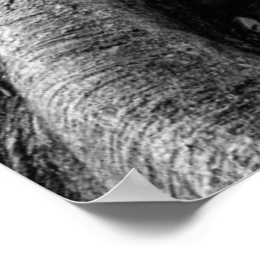 塊状のゴムの木の根 ポスター (角)