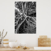 塊状のゴムの木の根 ポスター (キッチン)