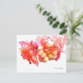 塊茎第1号 ポストカード (スタンド正面)