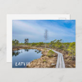 塔のある沼の上の木製の歩道 ポストカード (正面/裏面)