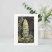 塔のクローズアップ中国の表示 ポストカード (スタンド正面)