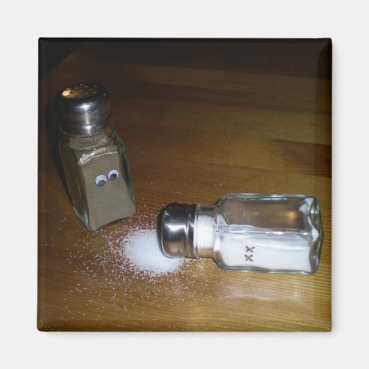 塩で覆われた マグネット (正面)