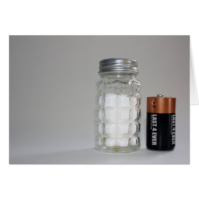 塩と電池 (正面横)