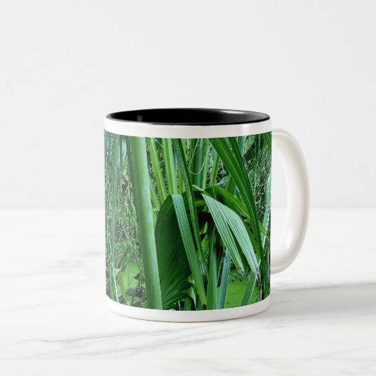 塩の池の熱帯植物 ツートーンマグカップ (正面右)