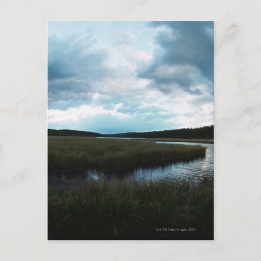 塩の湿地 ポストカード (正面)