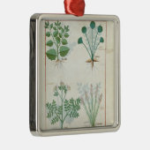塩ブッシュおよびAnthoraのAbsinthiumおよびカルダモン メタルオーナメント (右)