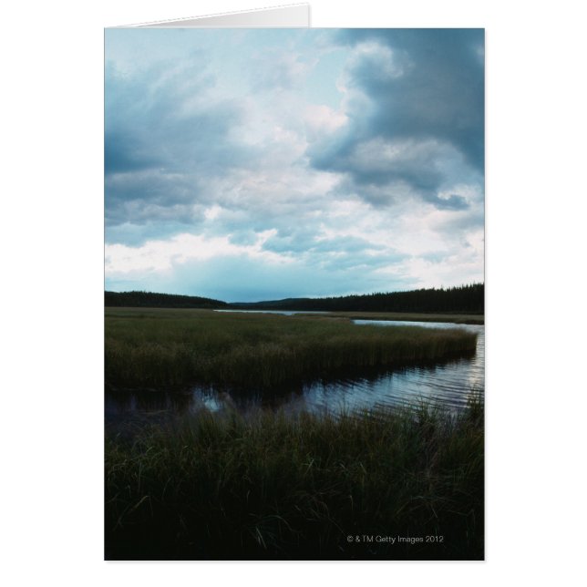 塩性湿地 (正面)