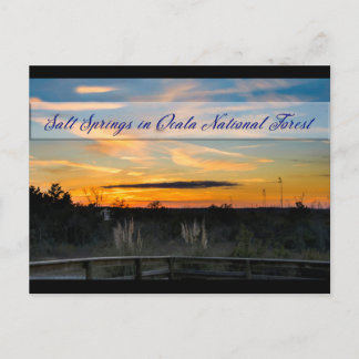 塩春葉書 ポストカード