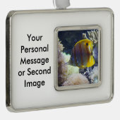 塩水のCopperbandの黄色及び白いButterflyfish シルバープレートフレームオーナメント (右)