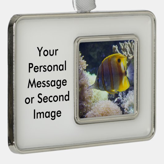 塩水のCopperbandの黄色及び白いButterflyfish シルバープレートフレームオーナメント (右)