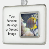 塩水のCopperbandの黄色及び白いButterflyfish シルバープレートフレームオーナメント (左)