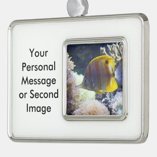 塩水のCopperbandの黄色及び白いButterflyfish シルバープレートフレームオーナメント (左)