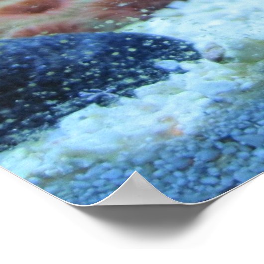 塩水カラフル族館のサンゴプリントポスター ポスター (角)