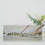 塩水ワニ シーズンカード (スタンド正面)