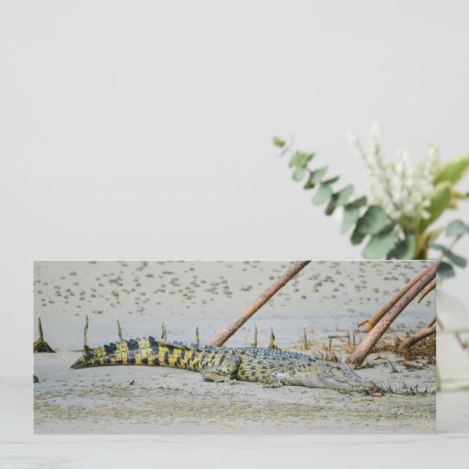 塩水ワニ シーズンカード (スタンド正面)