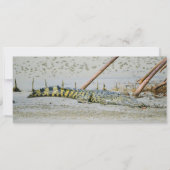 塩水ワニ シーズンカード (正面)