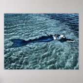 塩水人魚 ポスター (正面)