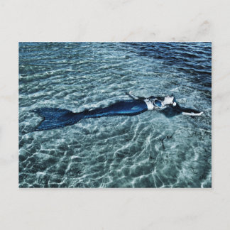 塩水人魚 ポストカード